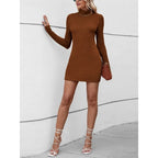 Women's brown ribbed turtleneck sweater dress, bodycon mini fit