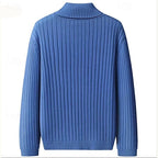 Men's blue ribbed turtleneck sweater, full back view, slim fit